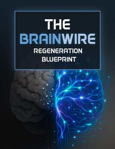 Audifort Bonus 2 - The Brainwire Regeneration Blueprint